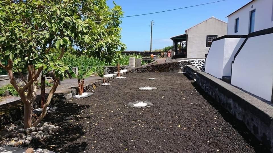 Azores Black Mountain House, Estudio E T2 Ilha Do Pico São Roque do Pico Exterior foto